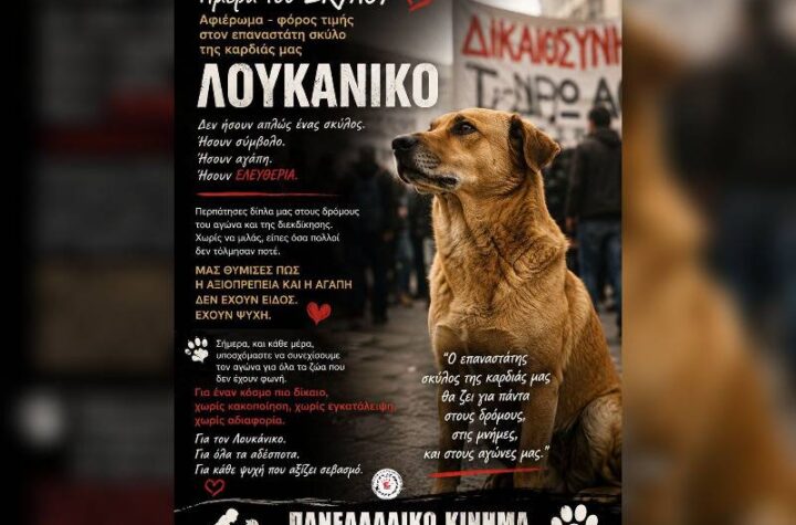 Κακοποίηση ζώων και ακτιβισμός - Η αδέσμευτη φωνή των τετράποδων