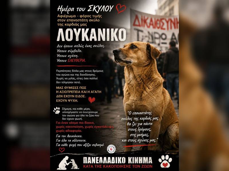 Κακοποίηση ζώων και ακτιβισμός - Η αδέσμευτη φωνή των τετράποδων