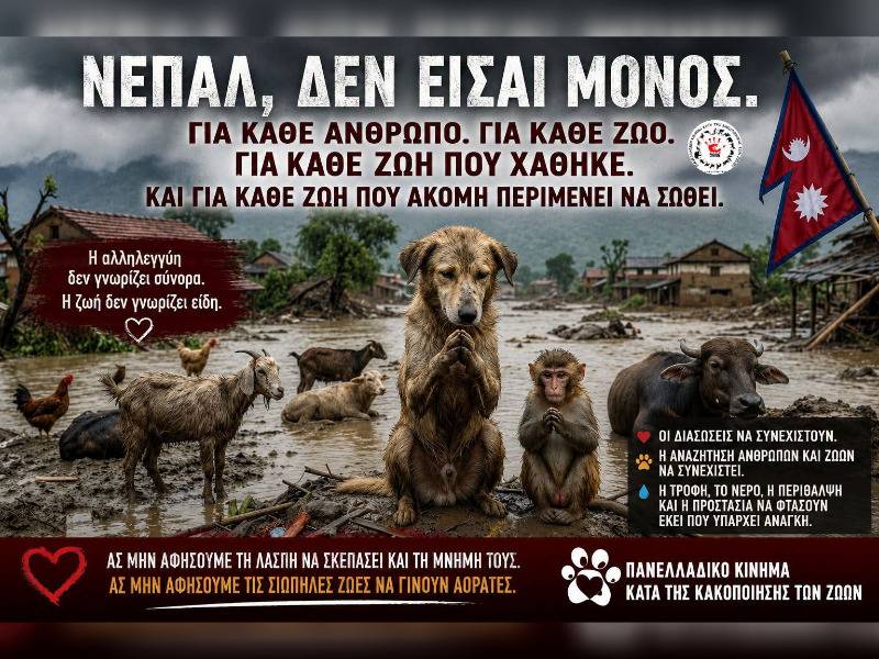 Κακοποίηση ζώων και ακτιβισμός - Η αδέσμευτη φωνή των τετράποδων