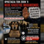 Κακοποίηση ζώων και ακτιβισμός - Η αδέσμευτη φωνή των τετράποδων