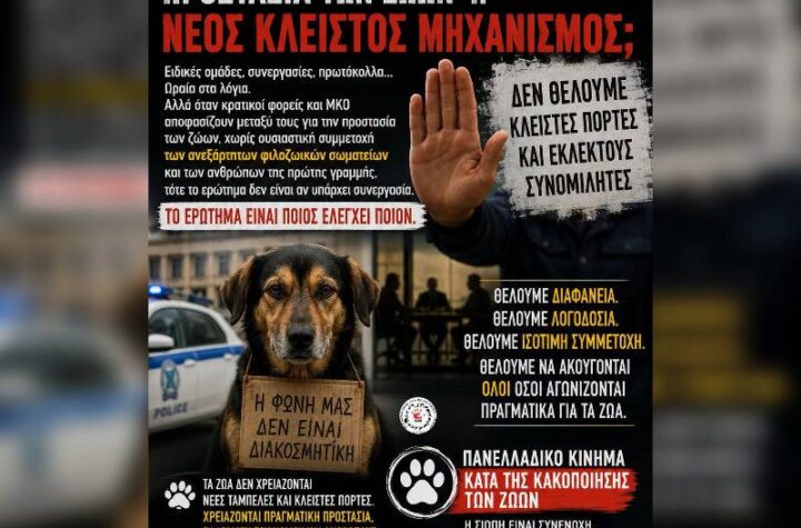 Κακοποίηση ζώων και ακτιβισμός - Η αδέσμευτη φωνή των τετράποδων