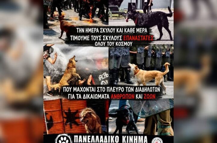 Κακοποίηση ζώων και ακτιβισμός - Η αδέσμευτη φωνή των τετράποδων