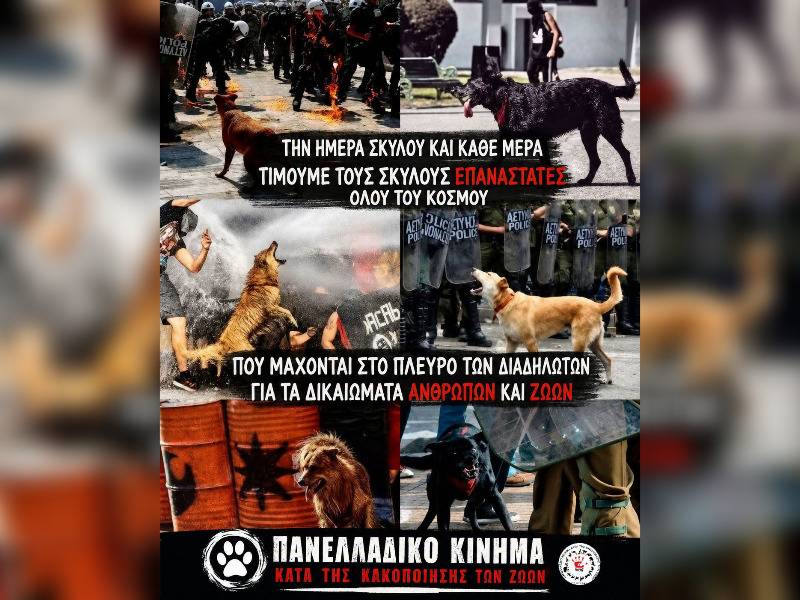 Κακοποίηση ζώων και ακτιβισμός - Η αδέσμευτη φωνή των τετράποδων