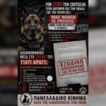 Κακοποίηση ζώων και ακτιβισμός - Η αδέσμευτη φωνή των τετράποδων