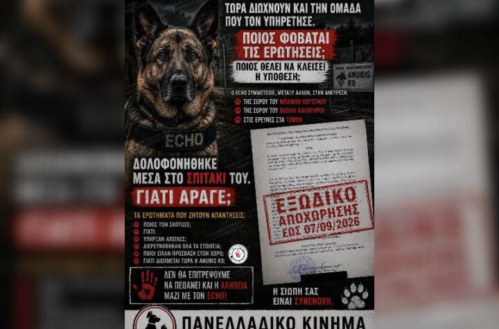 Κακοποίηση ζώων και ακτιβισμός - Η αδέσμευτη φωνή των τετράποδων