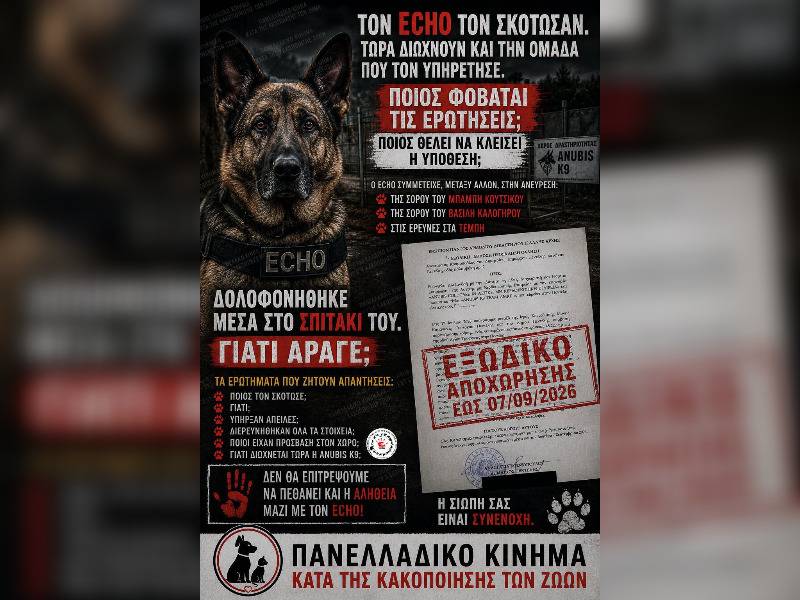 Κακοποίηση ζώων και ακτιβισμός - Η αδέσμευτη φωνή των τετράποδων