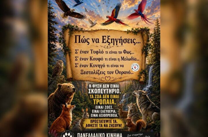 Κακοποίηση ζώων και ακτιβισμός - Η αδέσμευτη φωνή των τετράποδων