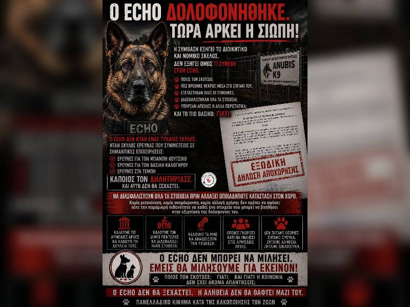 Κακοποίηση ζώων και ακτιβισμός - Η αδέσμευτη φωνή των τετράποδων