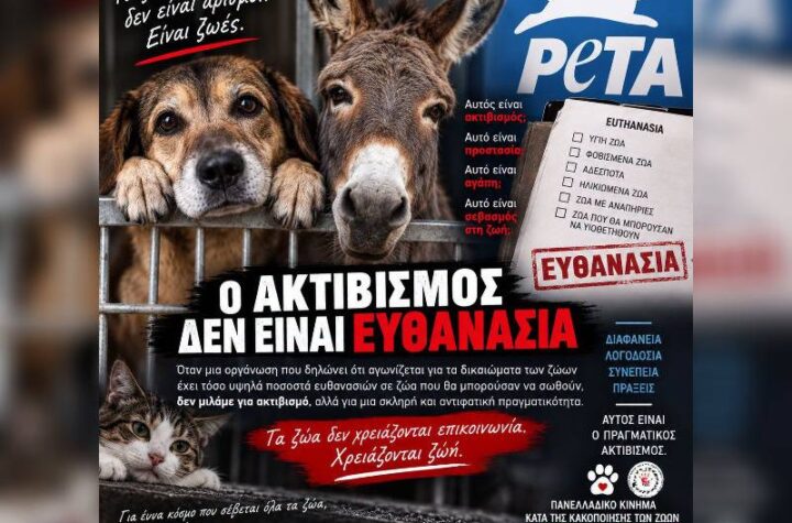 Κακοποίηση ζώων και ακτιβισμός - Η αδέσμευτη φωνή των τετράποδων