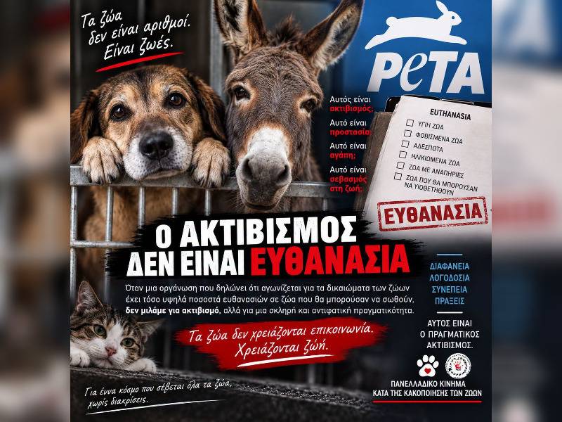 Κακοποίηση ζώων και ακτιβισμός - Η αδέσμευτη φωνή των τετράποδων