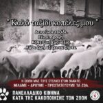 Κακοποίηση ζώων και ακτιβισμός - Η αδέσμευτη φωνή των τετράποδων