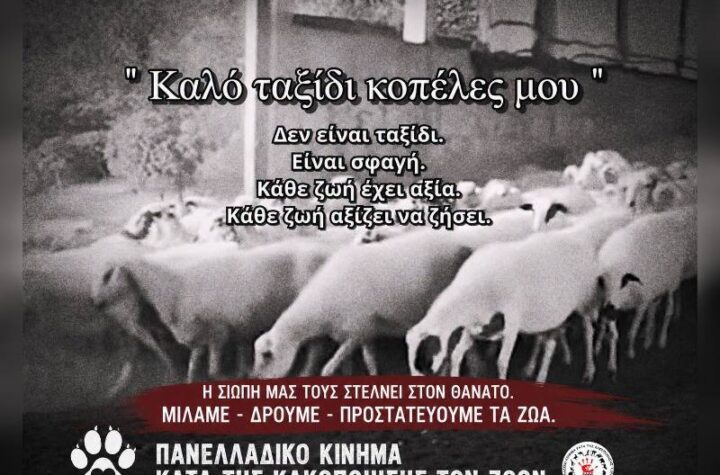 Κακοποίηση ζώων και ακτιβισμός - Η αδέσμευτη φωνή των τετράποδων