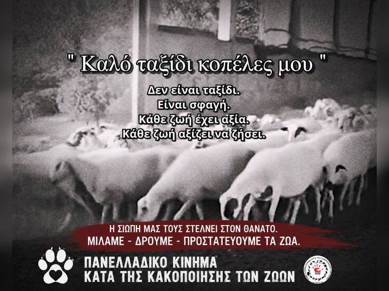 Κακοποίηση ζώων και ακτιβισμός - Η αδέσμευτη φωνή των τετράποδων