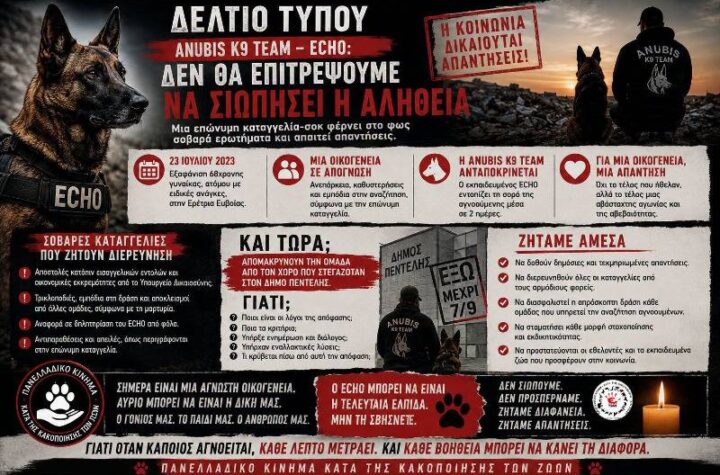 Κακοποίηση ζώων και ακτιβισμός - Η αδέσμευτη φωνή των τετράποδων