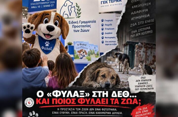 Κακοποίηση ζώων και ακτιβισμός - Η αδέσμευτη φωνή των τετράποδων