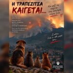 Κακοποίηση ζώων και ακτιβισμός - Η αδέσμευτη φωνή των τετράποδων