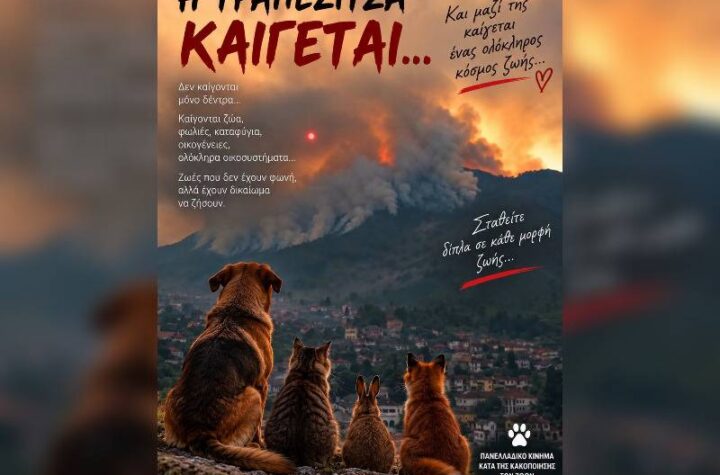 Κακοποίηση ζώων και ακτιβισμός - Η αδέσμευτη φωνή των τετράποδων
