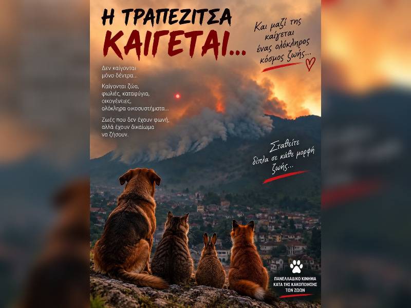 Κακοποίηση ζώων και ακτιβισμός - Η αδέσμευτη φωνή των τετράποδων