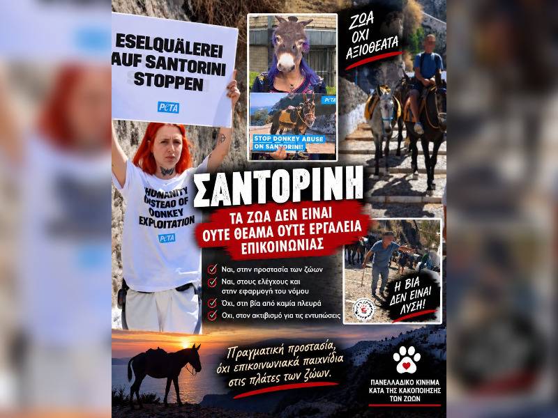 Κακοποίηση ζώων και ακτιβισμός - Η αδέσμευτη φωνή των τετράποδων