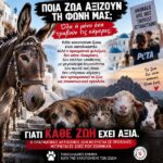 Κακοποίηση ζώων και ακτιβισμός - Η αδέσμευτη φωνή των τετράποδων