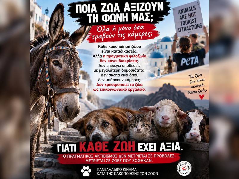 Κακοποίηση ζώων και ακτιβισμός - Η αδέσμευτη φωνή των τετράποδων