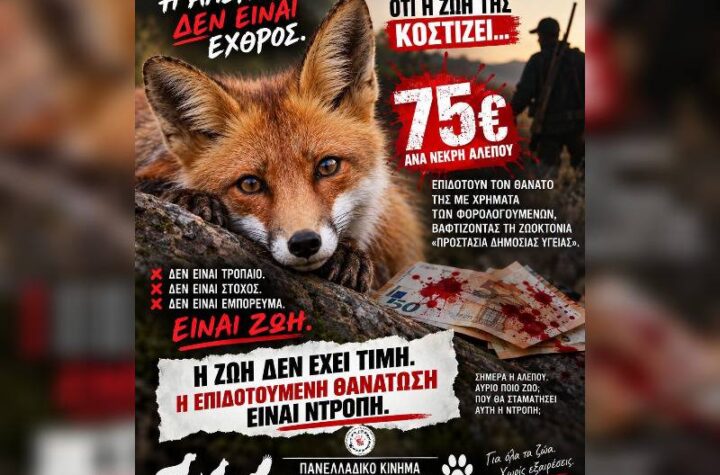 Κακοποίηση ζώων και ακτιβισμός - Η αδέσμευτη φωνή των τετράποδων