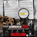 Κακοποίηση ζώων και ακτιβισμός - Η αδέσμευτη φωνή των τετράποδων