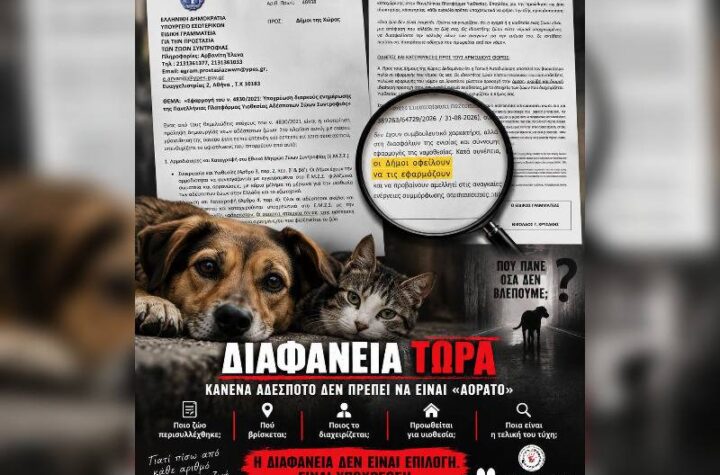 Κακοποίηση ζώων και ακτιβισμός - Η αδέσμευτη φωνή των τετράποδων