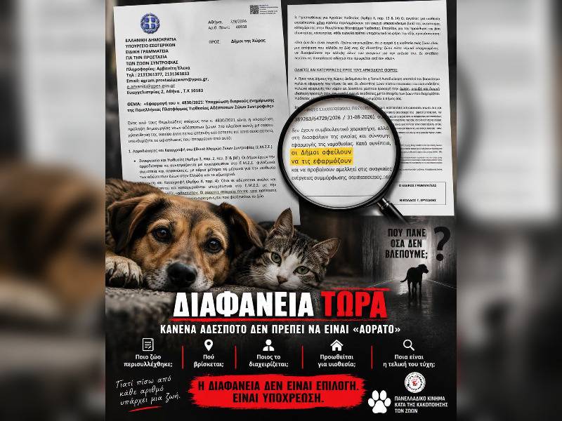 Κακοποίηση ζώων και ακτιβισμός - Η αδέσμευτη φωνή των τετράποδων