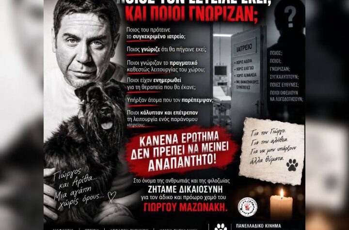 Κακοποίηση ζώων και ακτιβισμός - Η αδέσμευτη φωνή των τετράποδων