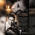 Κακοποίηση ζώων και ακτιβισμός - Η αδέσμευτη φωνή των τετράποδων