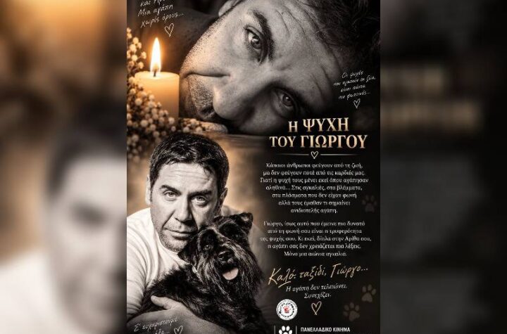 Κακοποίηση ζώων και ακτιβισμός - Η αδέσμευτη φωνή των τετράποδων