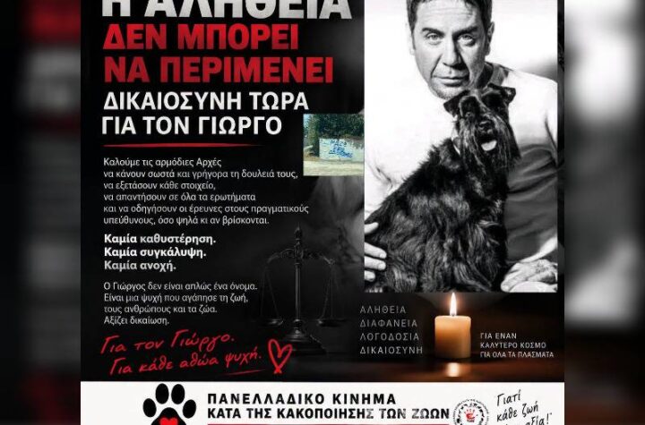Κακοποίηση ζώων και ακτιβισμός - Η αδέσμευτη φωνή των τετράποδων