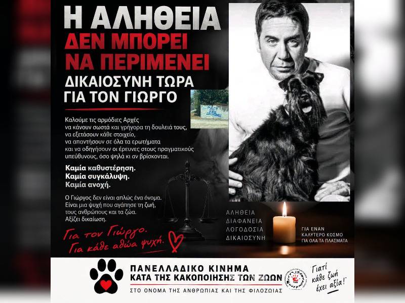 Κακοποίηση ζώων και ακτιβισμός - Η αδέσμευτη φωνή των τετράποδων