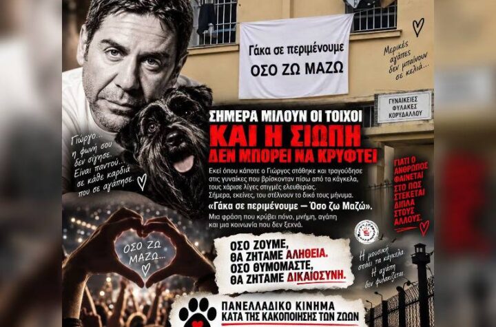 Κακοποίηση ζώων και ακτιβισμός - Η αδέσμευτη φωνή των τετράποδων