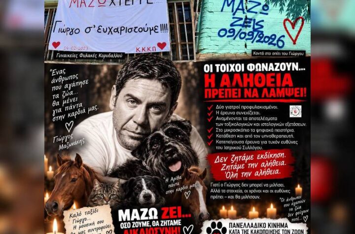 Κακοποίηση ζώων και ακτιβισμός - Η αδέσμευτη φωνή των τετράποδων