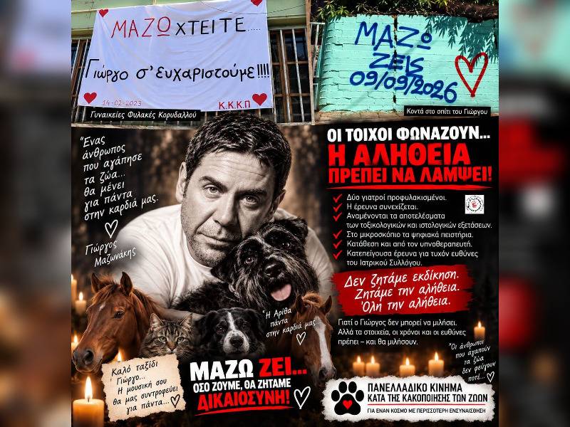 Κακοποίηση ζώων και ακτιβισμός - Η αδέσμευτη φωνή των τετράποδων