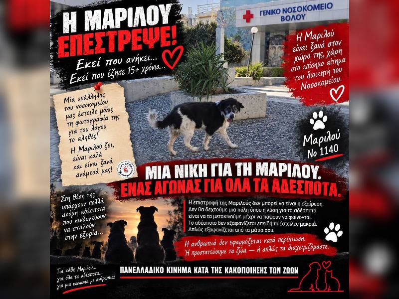 Κακοποίηση ζώων και ακτιβισμός - Η αδέσμευτη φωνή των τετράποδων