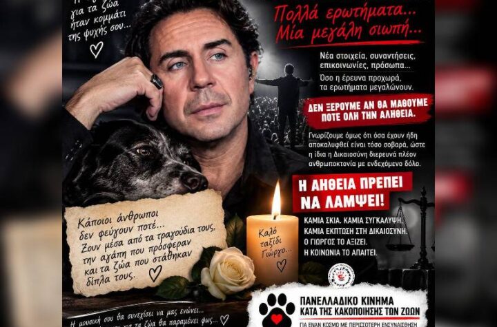 Κακοποίηση ζώων και ακτιβισμός - Η αδέσμευτη φωνή των τετράποδων