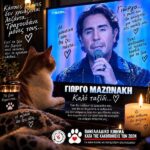 Κακοποίηση ζώων και ακτιβισμός - Η αδέσμευτη φωνή των τετράποδων