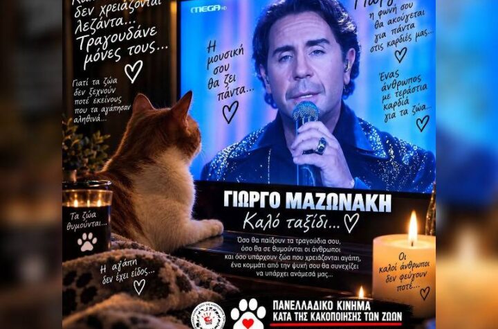 Κακοποίηση ζώων και ακτιβισμός - Η αδέσμευτη φωνή των τετράποδων