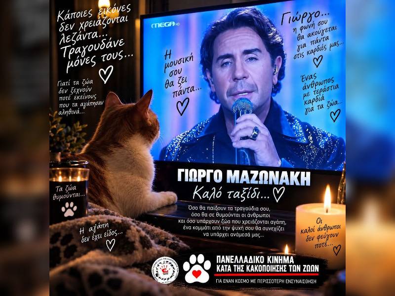 Κακοποίηση ζώων και ακτιβισμός - Η αδέσμευτη φωνή των τετράποδων