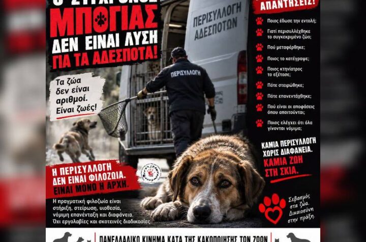 Κακοποίηση ζώων και ακτιβισμός - Η αδέσμευτη φωνή των τετράποδων