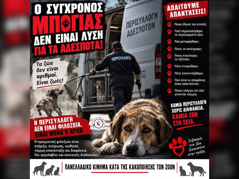 Κακοποίηση ζώων και ακτιβισμός - Η αδέσμευτη φωνή των τετράποδων
