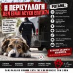 Κακοποίηση ζώων και ακτιβισμός - Η αδέσμευτη φωνή των τετράποδων