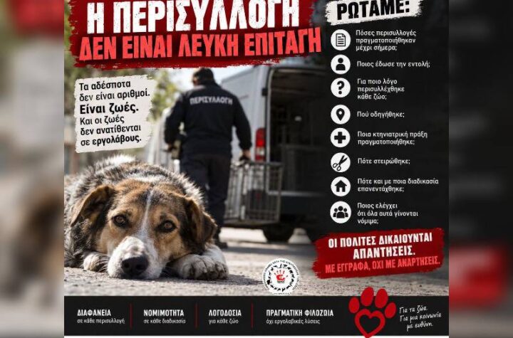 Κακοποίηση ζώων και ακτιβισμός - Η αδέσμευτη φωνή των τετράποδων