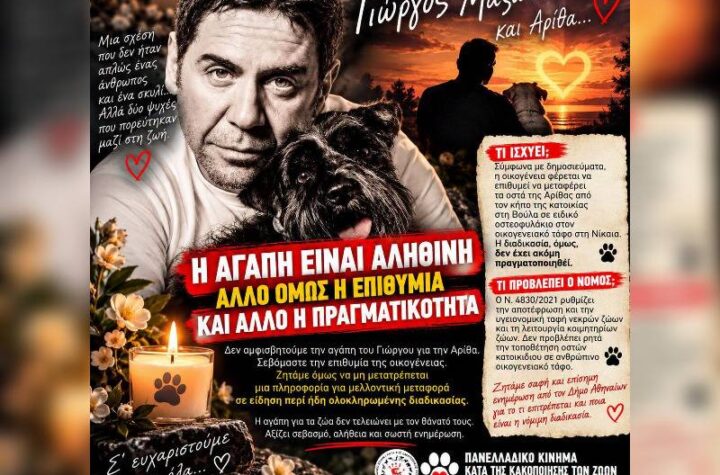 Κακοποίηση ζώων και ακτιβισμός - Η αδέσμευτη φωνή των τετράποδων