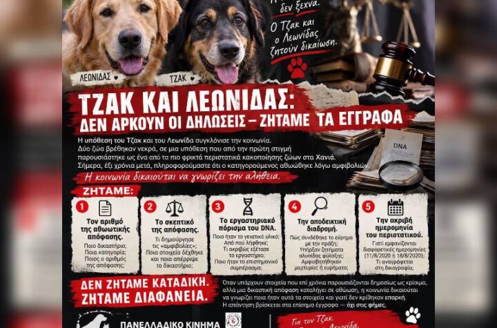 Κακοποίηση ζώων και ακτιβισμός - Η αδέσμευτη φωνή των τετράποδων