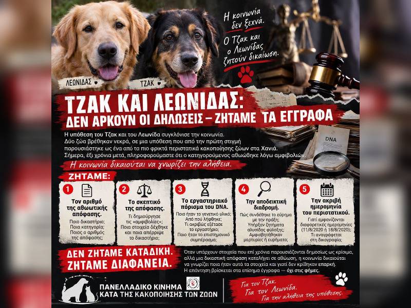 Κακοποίηση ζώων και ακτιβισμός - Η αδέσμευτη φωνή των τετράποδων