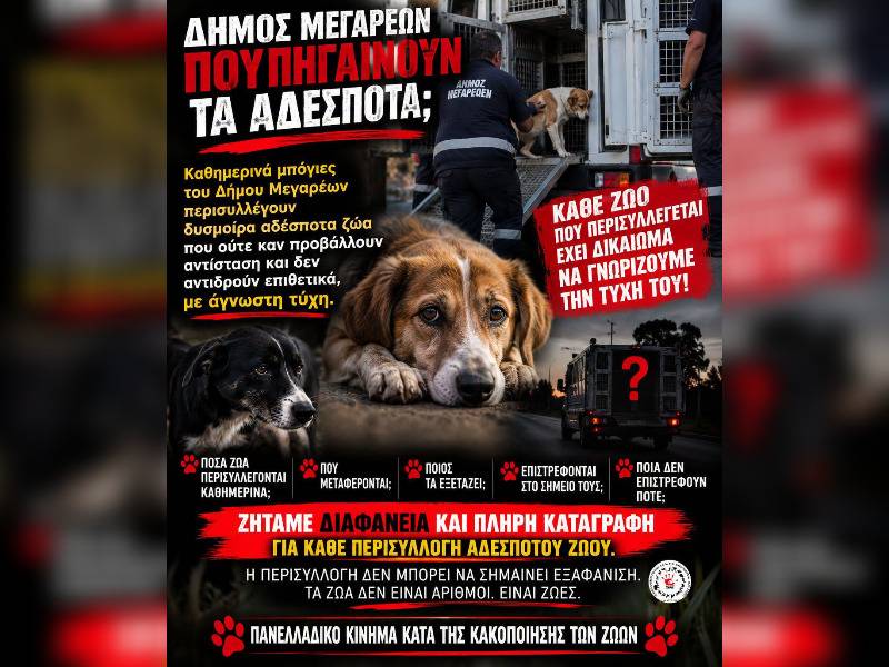 Κακοποίηση ζώων και ακτιβισμός - Η αδέσμευτη φωνή των τετράποδων